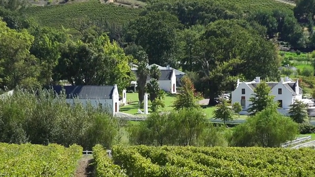 WS ZI拍摄于Boschendal葡萄酒庄园和葡萄园/ Franschhoek，西开普省，南非视频下载