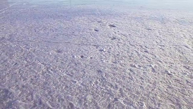 在春天飞过冰天雪地视频素材