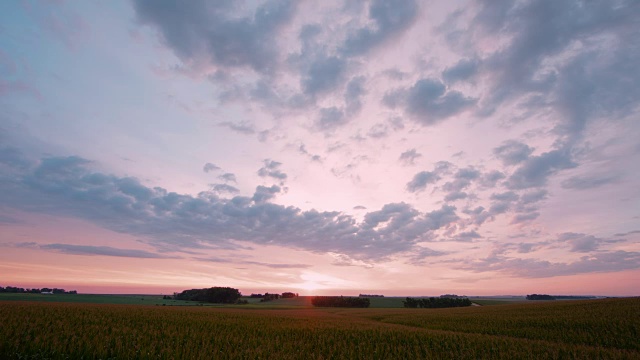 广阔的农村农业景观与冉冉升起的太阳，美丽的云彩和一片玉米田。视频下载