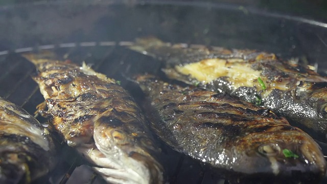 SLO MO调味烤鱼与欧芹视频下载