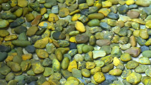 池水清澈透明视频下载