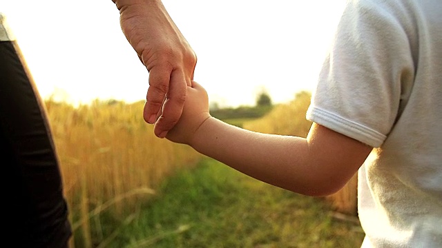 高清慢镜头:小男孩和妈妈手牵着手走在金色的麦田里。视频下载