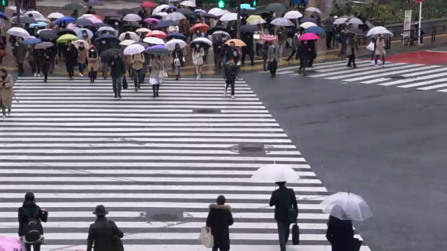 人们在雨中过马路视频素材
