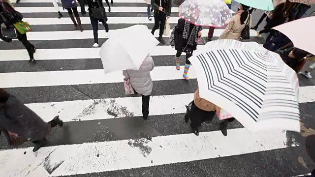 慢莫鸟瞰在雨中过马路的人视频素材