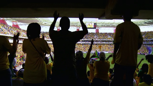 南非南非球迷观看足球比赛/豪登省约翰内斯堡视频下载