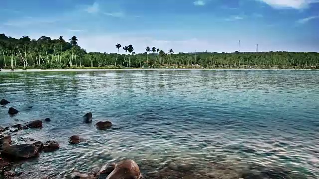 热带海滩梦想视频下载