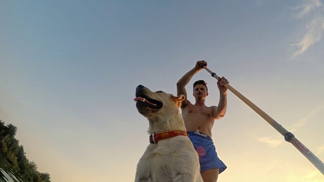洛杉矶男子冲浪板和他的狗视频素材