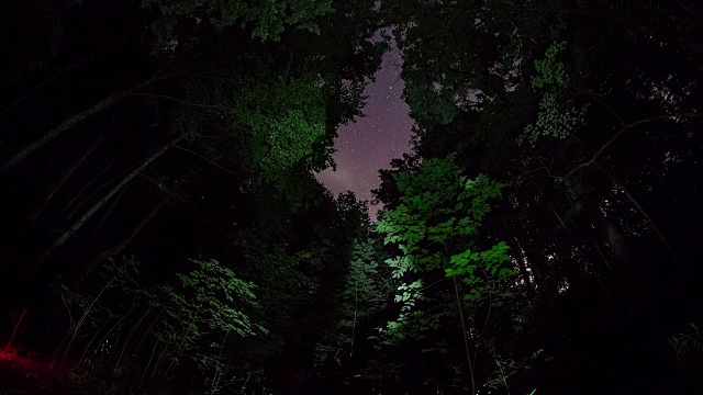 萤火虫在大烟山国家公园的夜晚开始出现。视频素材