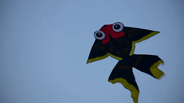 风筝金鱼。视频下载