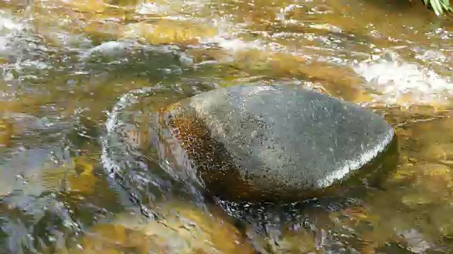 流动的河流和自然之美视频下载