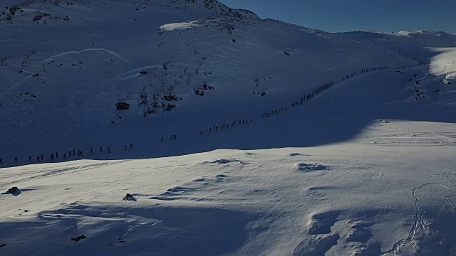 无人机镜头的滑雪者竞争在北极圈赛跑在格陵兰-侧面视频下载