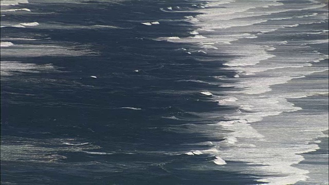 海浪-鸟瞰图-阿基坦，朗德，法国视频下载