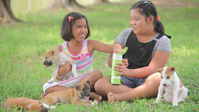 亚洲小女孩和小狗在花园里视频素材