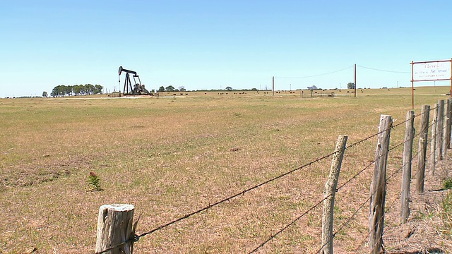 WS视图的泵千斤顶的领域与奶牛/德克萨斯州，美国视频素材
