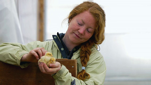 美国密歇根州查塔姆市，一名红发女子手拿两只小鸡微笑的照片视频素材