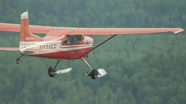 美国阿拉斯加州，谢尔登航空公司的塞斯纳飞机飞过Talkeetna附近的森林视频下载
