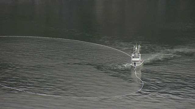 WS AERIAL ZI在水/阿拉斯加，美国的环形网围网渔船视图视频素材