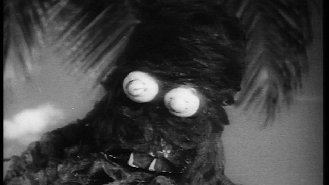 1961年B/W近距离怪物走向相机，直到它充满整个屏幕视频下载