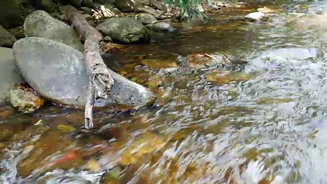 流动的河流和自然之美视频素材