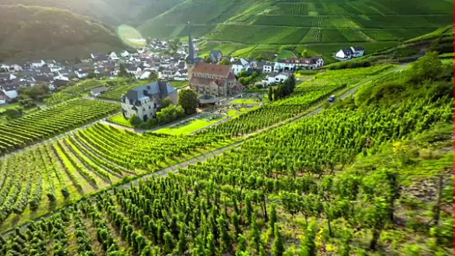 德国阿塔尔田园诗般的葡萄园视频素材
