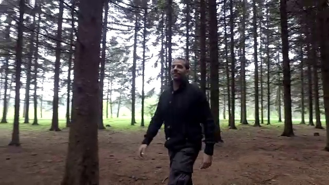 在森林中漫步视频素材