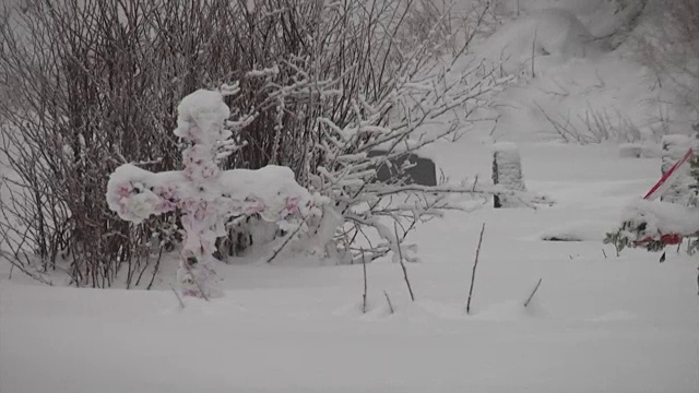 坟场上有积雪覆盖的十字架视频素材