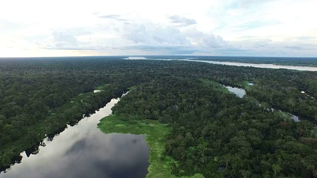鸟瞰图的秘鲁亚马逊雨林和内陆湖泊视频下载