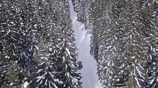 空中汽车在雪道上行驶，穿过云杉林视频下载