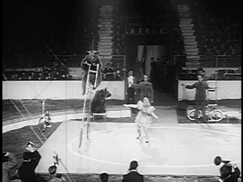 1955年，一名远射女子在马戏团里引导熊骑着很高的自行车视频素材