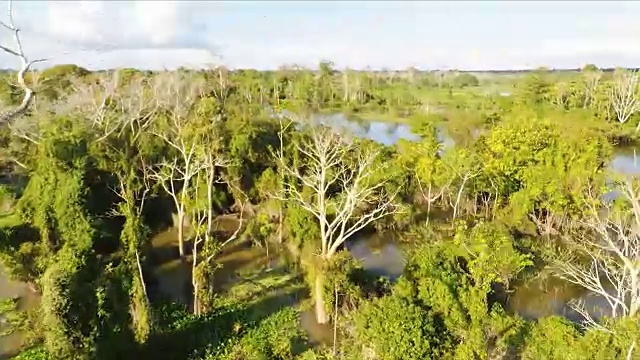 鸟瞰图的秘鲁亚马逊和丛林视频下载