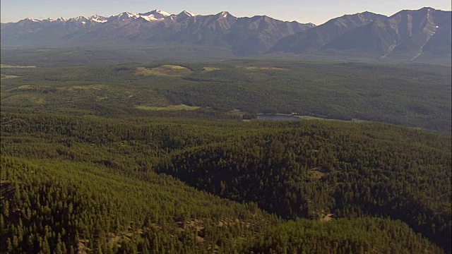 飞越洛拉国家森林鸟瞰图-蒙大拿，米苏拉县，美国视频素材