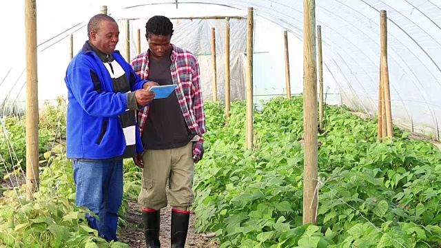 新技术非洲有机农民视频素材