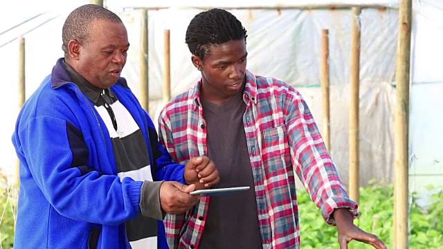 (中景)非洲有机农民在平板电脑上讨论视频素材