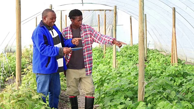 数字平板电脑非洲有机农民视频素材