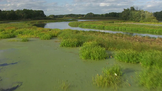WS鸟瞰图低沼泽水域在上密西西比鱼类和野生动物保护区，爱荷华州和沼泽水道和湿地附近的密西西比河/爱荷华州，美国视频素材