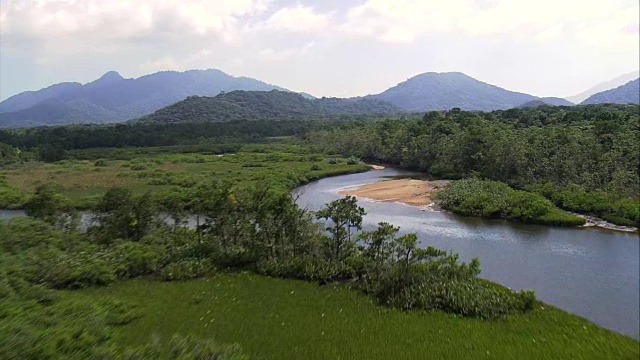 低河和大西洋雨林-鸟瞰图- São保罗，Cananéia，巴西视频下载