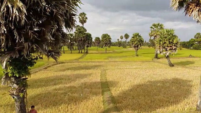 山地自行车柬埔寨视频下载