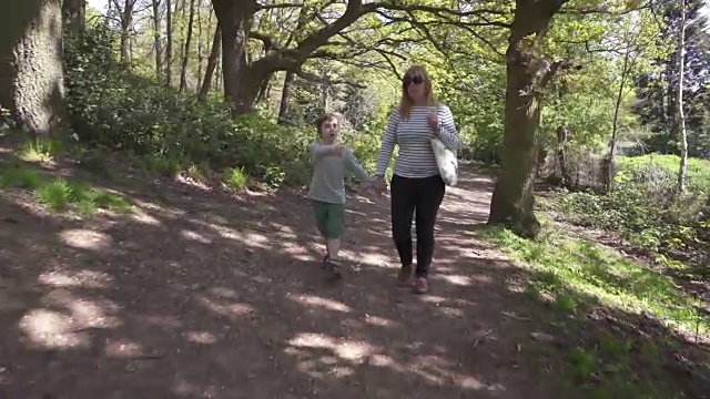 母亲和儿子在森林里散步视频素材
