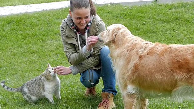 女孩同时喂猫和狗朋友视频下载