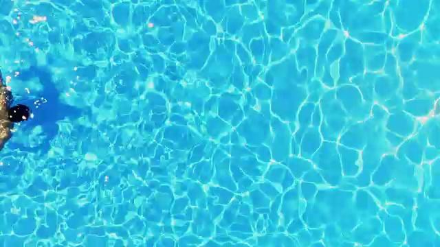 在游泳池里游泳的人视频素材