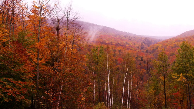 镜头摇摄了覆盖着秋天色彩的佛蒙特山脉。视频素材