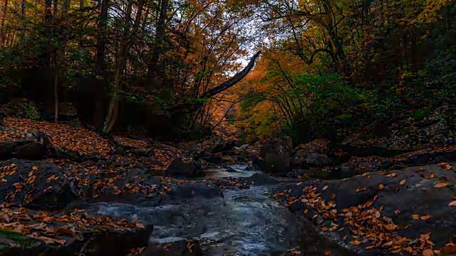 美丽的时间流逝序列显示秋天的颜色在新河峡谷国家公园。视频素材