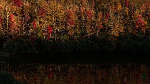 时间流逝序列显示美丽的秋天颜色的树木在新河峡谷国家公园。视频素材