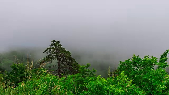 云在雪兰多国家公园的森林山丘上漂移的延时镜头。视频下载