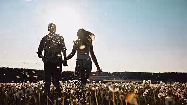 一对年轻的夫妇在蒲公英草地上奔跑视频下载
