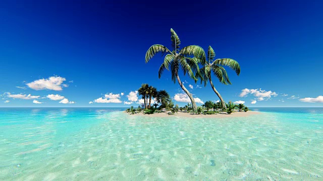 有棕榈树的热带岛屿视频素材
