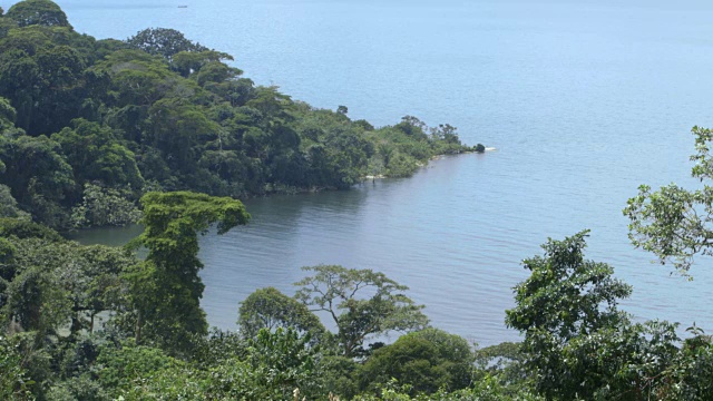 远距离拍摄布加拉岛树木丛生的海岸线。视频素材