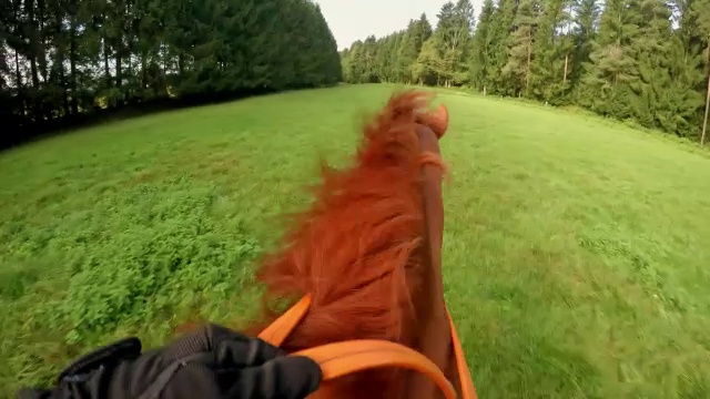 骑手骑着一匹奔跑的马穿过草地视频下载