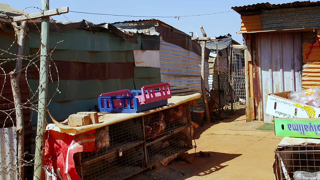 被瓦楞铁皮棚屋包围的笼中鸡/ Cosmo城，南非视频素材