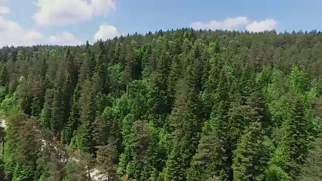 4K航拍森林视频素材